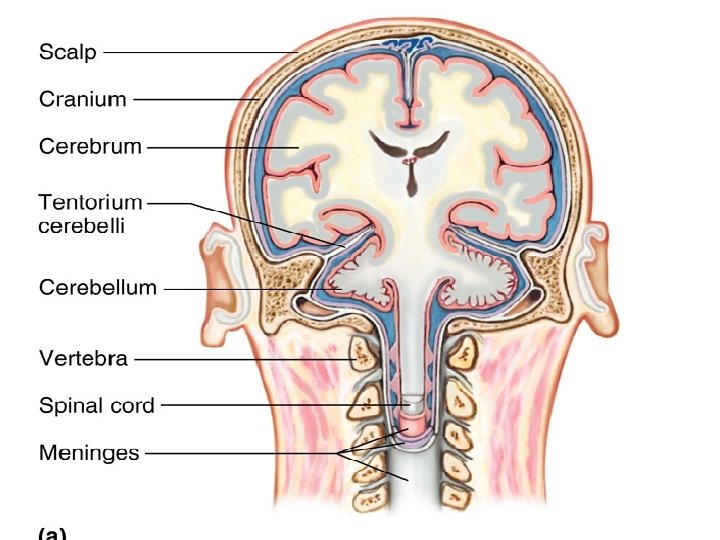 Figure 11. 01 a 