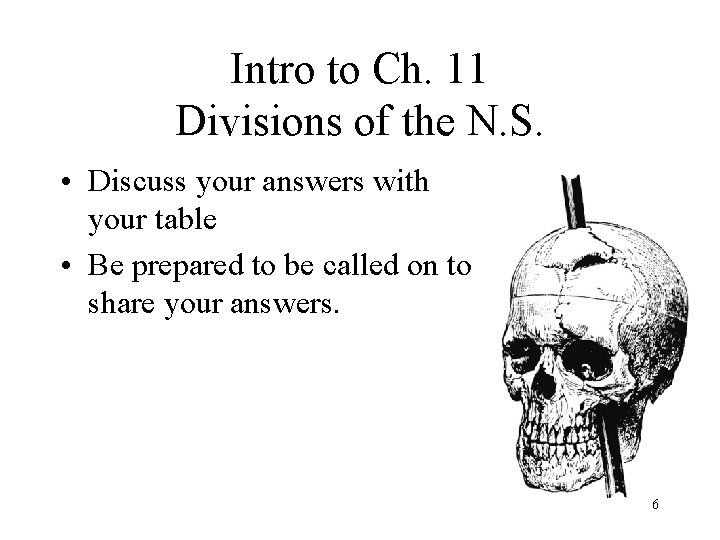 Intro to Ch. 11 Divisions of the N. S. • Discuss your answers with