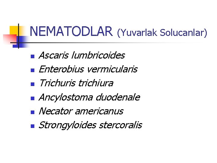 NEMATODLAR n n n (Yuvarlak Solucanlar) Ascaris lumbricoides Enterobius vermicularis Trichuris trichiura Ancylostoma duodenale NEMATODLAR n n n (Yuvarlak Solucanlar) Ascaris lumbricoides Enterobius vermicularis Trichuris trichiura Ancylostoma duodenale