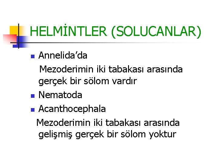 HELMİNTLER (SOLUCANLAR) Annelida’da Mezoderimin iki tabakası arasında gerçek bir sölom vardır n Nematoda n HELMİNTLER (SOLUCANLAR) Annelida’da Mezoderimin iki tabakası arasında gerçek bir sölom vardır n Nematoda n