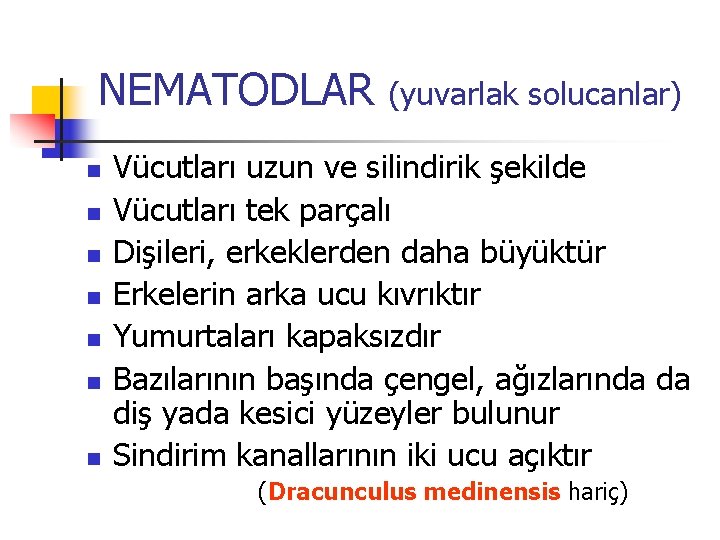 NEMATODLAR n n n n (yuvarlak solucanlar) Vücutları uzun ve silindirik şekilde Vücutları tek NEMATODLAR n n n n (yuvarlak solucanlar) Vücutları uzun ve silindirik şekilde Vücutları tek