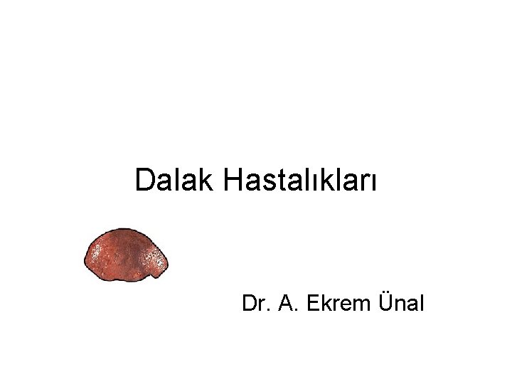 Dalak Hastalıkları Dr. A. Ekrem Ünal 