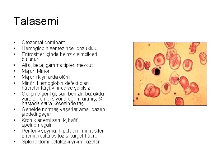Talasemi • • • Otozomal dominant. Hemoglobin sentezinde bozukluk Eritrositler içinde heinz cisimcikleri bulunur