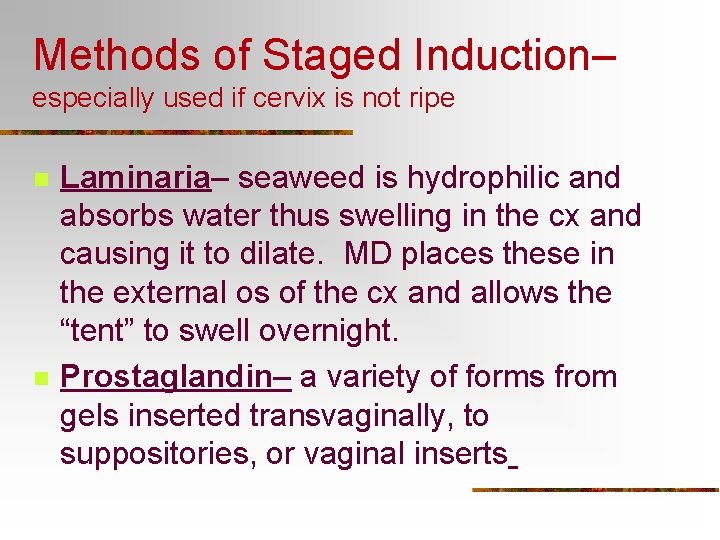 Methods of Staged Induction– especially used if cervix is not ripe n n Laminaria–