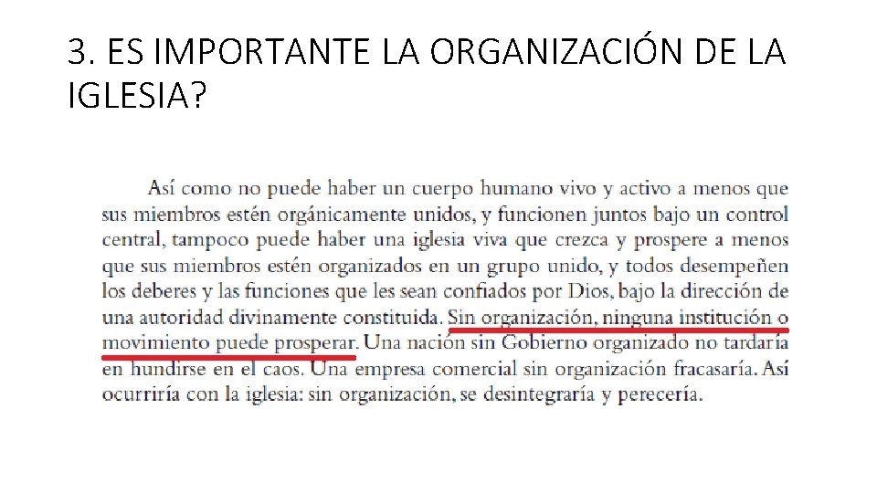 3. ES IMPORTANTE LA ORGANIZACIÓN DE LA IGLESIA? 