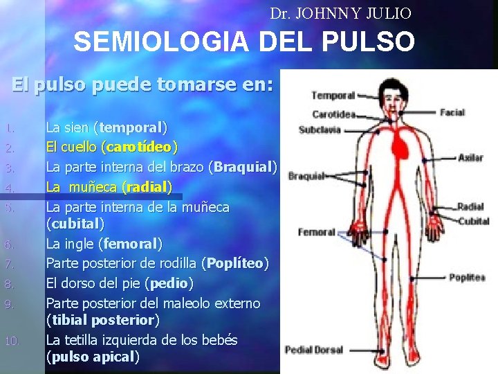Dr. JOHNNY JULIO SEMIOLOGIA DEL PULSO El pulso puede tomarse en: 1. 2. 3.