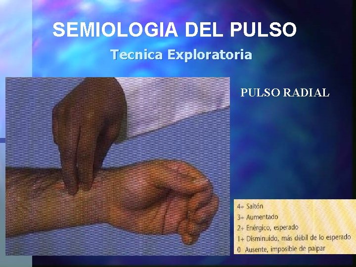 SEMIOLOGIA DEL PULSO Tecnica Exploratoria PULSO RADIAL 