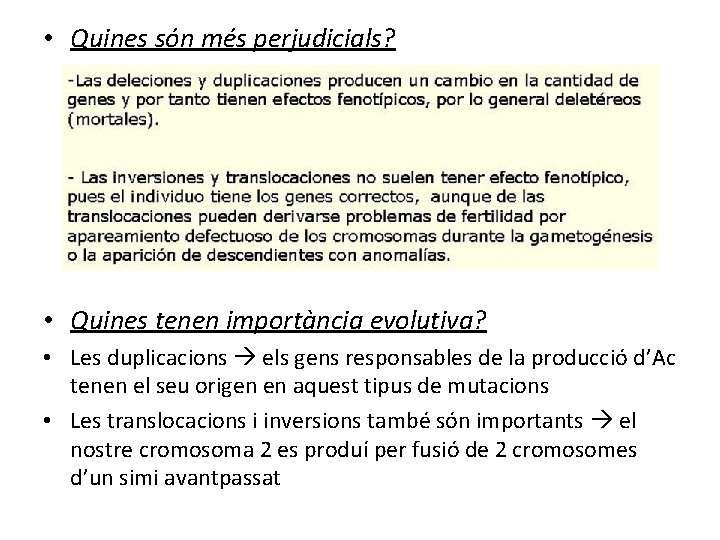  • Quines són més perjudicials? • Quines tenen importància evolutiva? • Les duplicacions