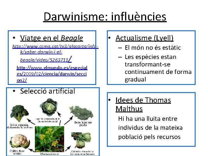 Darwinisme: influències • Viatge en el Beagle http: //www. ccma. cat/tv 3/alacarta/infok/saber-darwin-i-elbeagle/video/5263711/ http: //www.