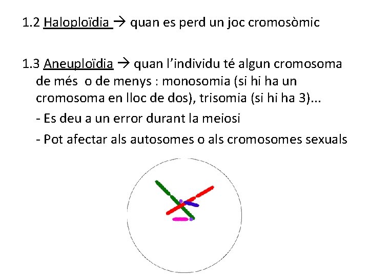 1. 2 Haloploïdia quan es perd un joc cromosòmic 1. 3 Aneuploïdia quan l’individu