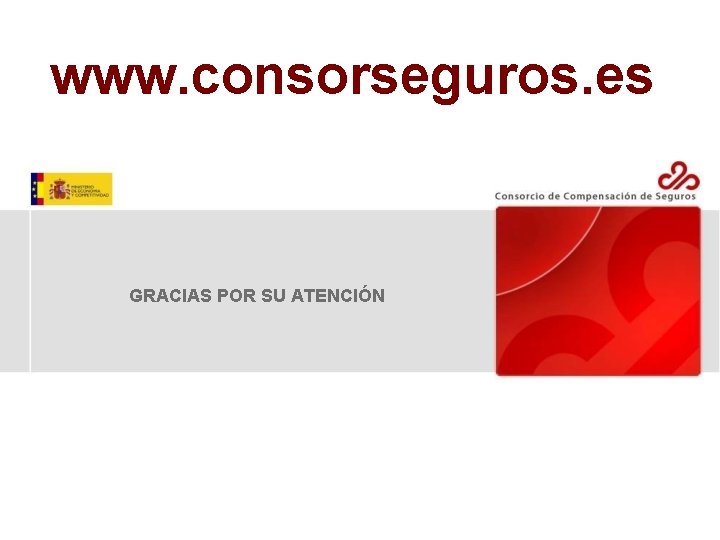 www. consorseguros. es GRACIAS POR SU ATENCIÓN 
