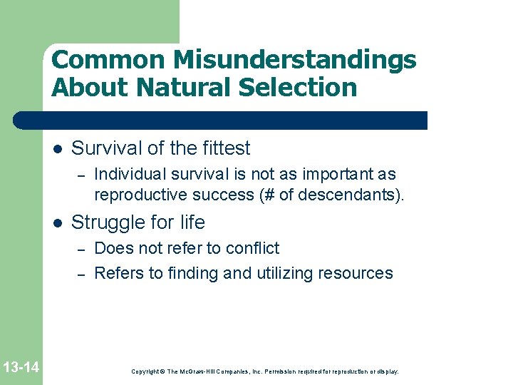 Common Misunderstandings About Natural Selection l Survival of the fittest – l Struggle for Common Misunderstandings About Natural Selection l Survival of the fittest – l Struggle for