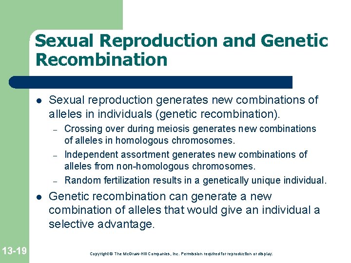 Sexual Reproduction and Genetic Recombination l Sexual reproduction generates new combinations of alleles in Sexual Reproduction and Genetic Recombination l Sexual reproduction generates new combinations of alleles in