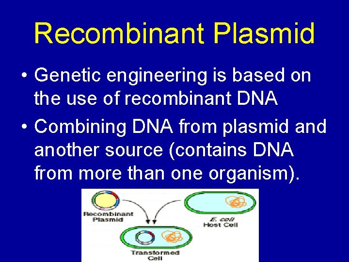 Recombinant Plasmid • Genetic engineering is based on the use of recombinant DNA •