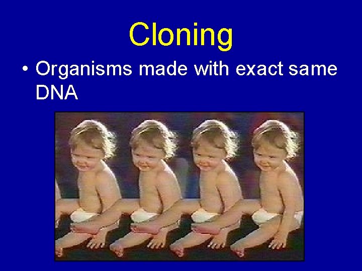 Cloning • Organisms made with exact same DNA 