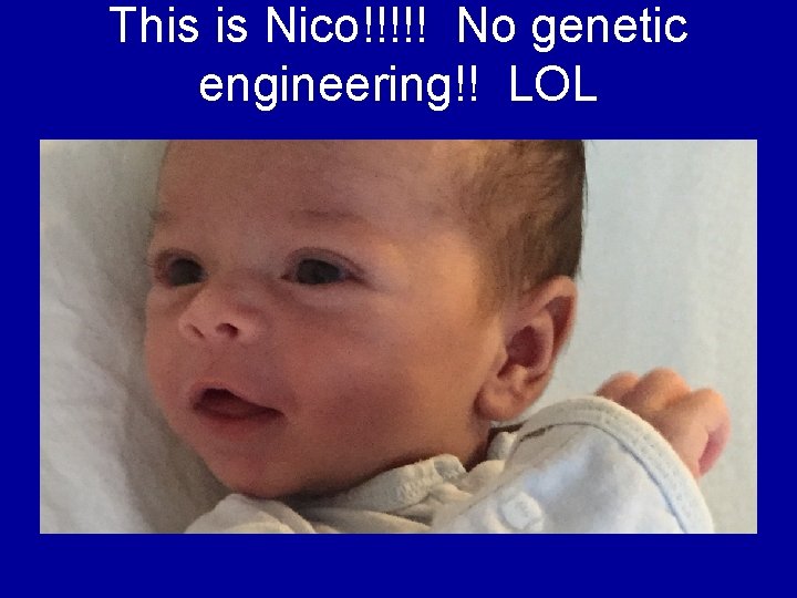 This is Nico!!!!! No genetic engineering!! LOL 