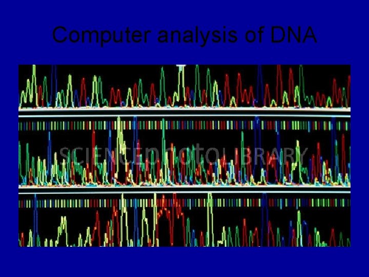 Computer analysis of DNA 
