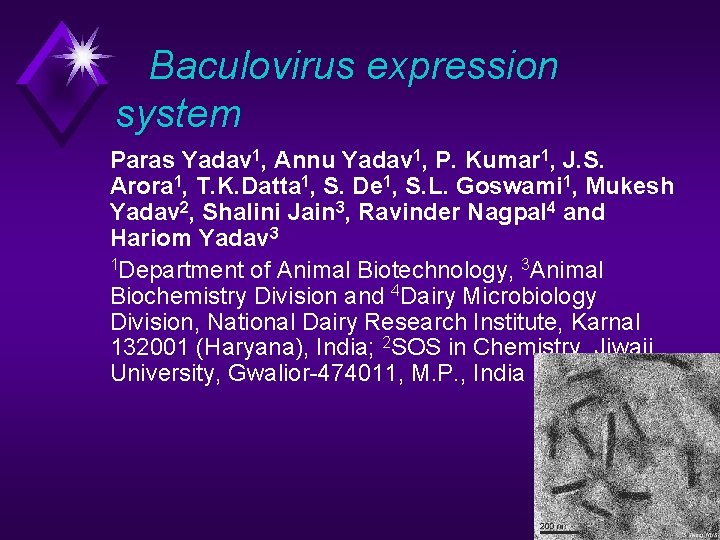 Baculovirus expression system Paras Yadav 1, Annu Yadav 1, P. Kumar 1, J. S.