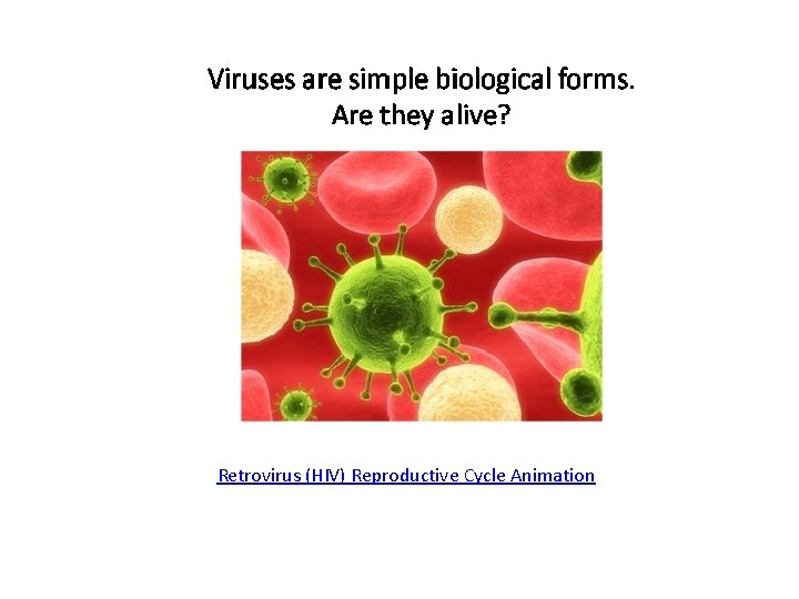 Retrovirus (HIV) Reproductive Cycle Animation 