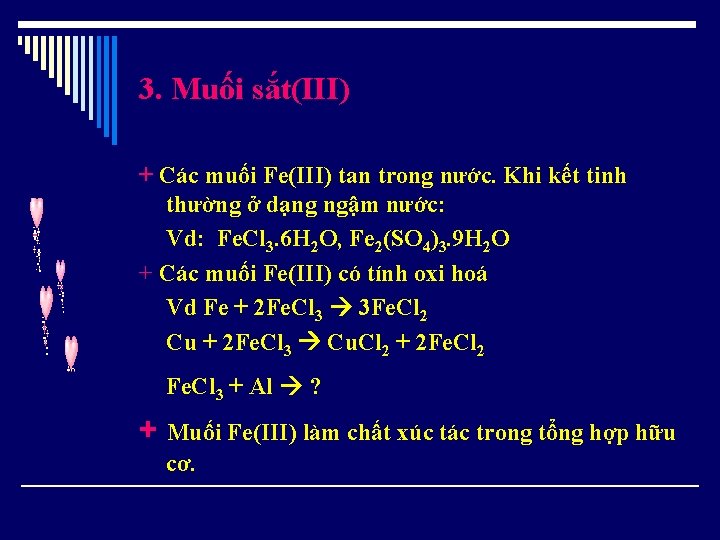 3. Muối sắt(III) + Các muối Fe(III) tan trong nước. Khi kết tinh thường