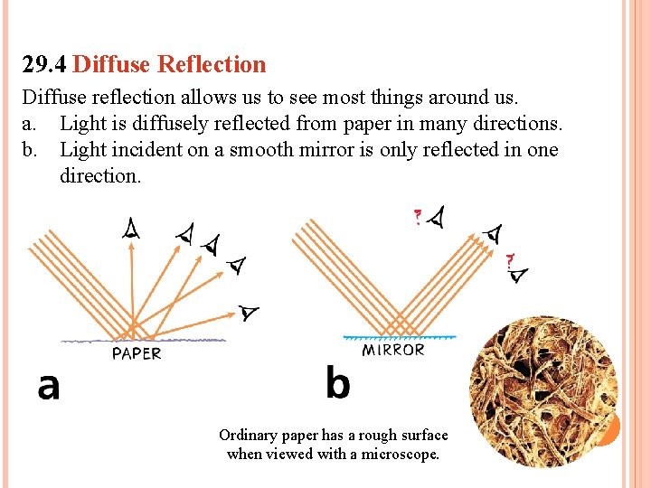 29. 4 Diffuse Reflection Diffuse reflection allows us to see most things around us.