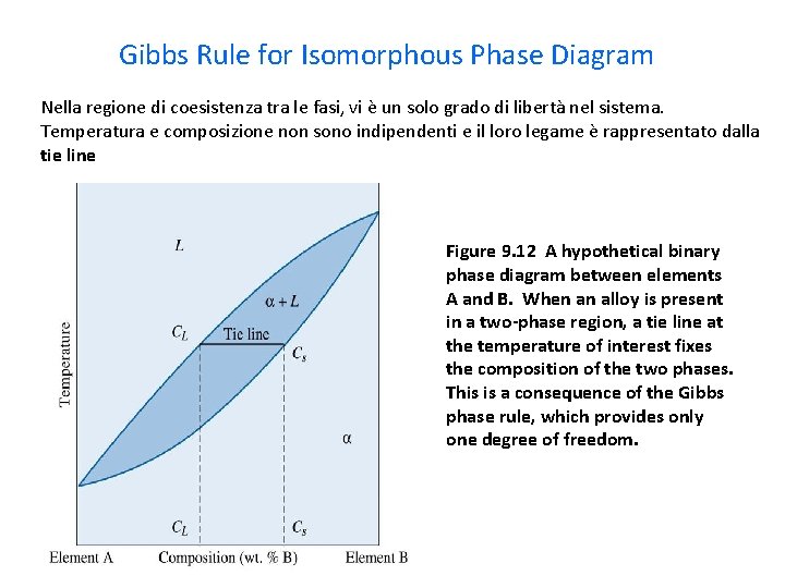 Gibbs Rule for Isomorphous Phase Diagram Nella regione di coesistenza tra le fasi, vi