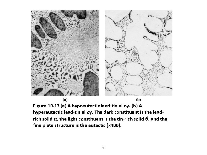 Figure 10. 17 (a) A hypoeutectic lead-tin alloy. (b) A hypereutectic lead-tin alloy. The