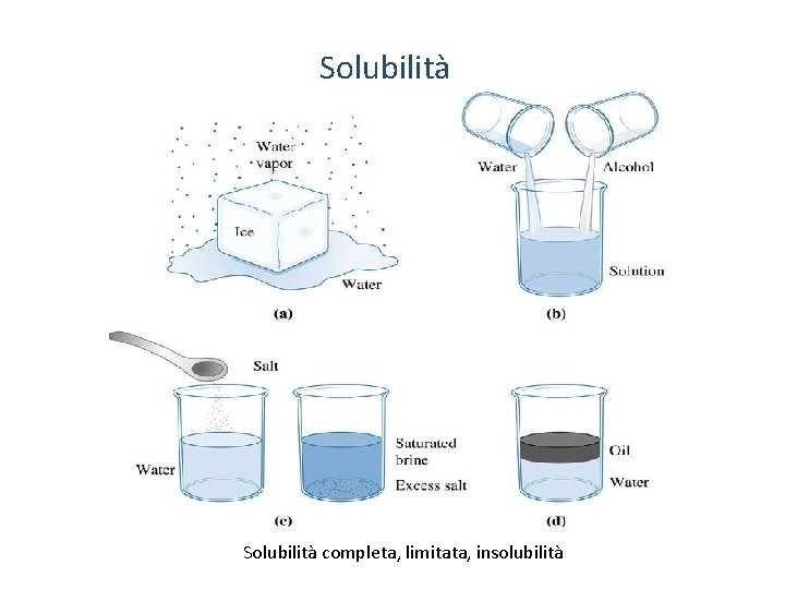 Solubilità completa, limitata, insolubilità 