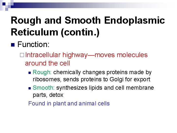 Rough and Smooth Endoplasmic Reticulum (contin. ) n Function: ¨ Intracellular highway—moves molecules around