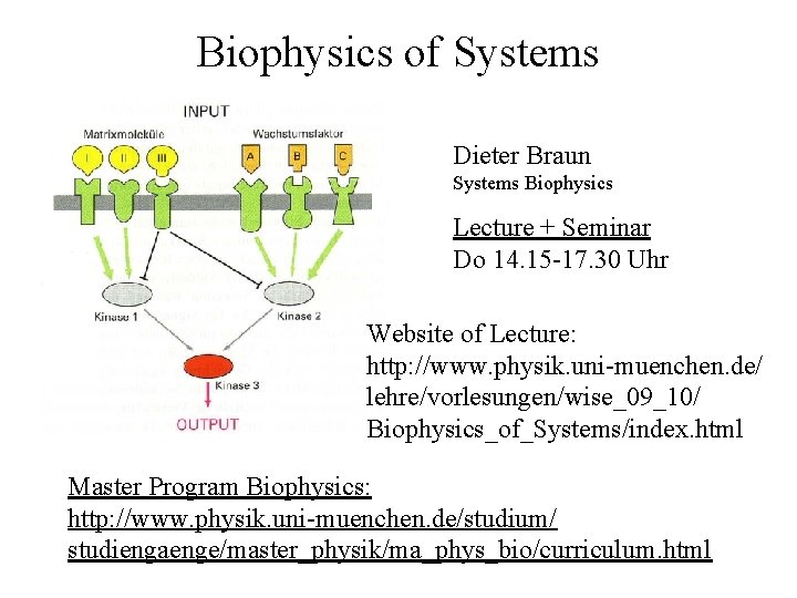 Biophysics of Systems Dieter Braun Systems Biophysics Lecture + Seminar Do 14. 15 -17.