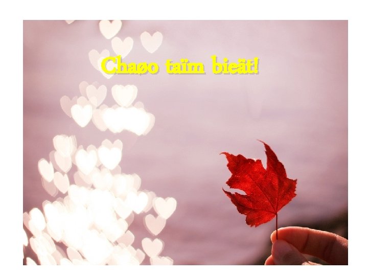 Chaøo taïm bieät! 