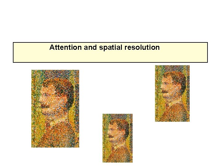 Attention and spatial resolution 