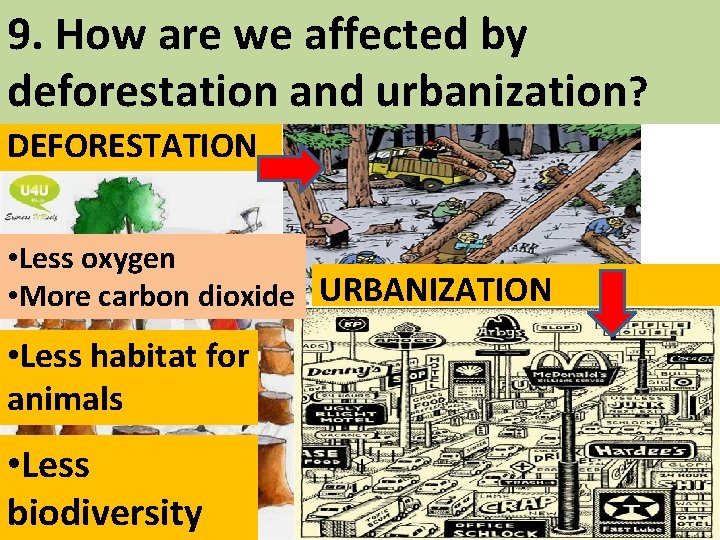 9. How are we affected by deforestation and urbanization? DEFORESTATION • Less oxygen •