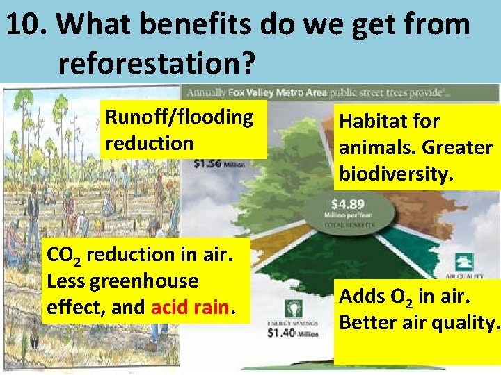 10. What benefits do we get from reforestation? Runoff/flooding reduction CO 2 reduction in