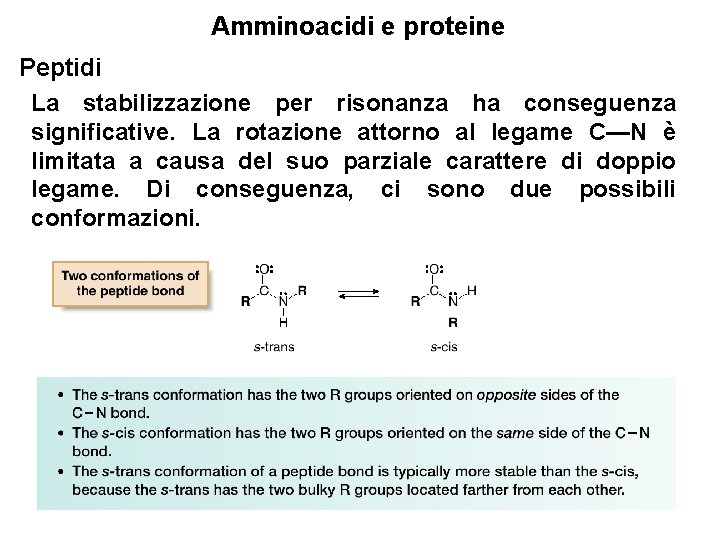 Amminoacidi e proteine Peptidi La stabilizzazione per risonanza ha conseguenza significative. La rotazione attorno