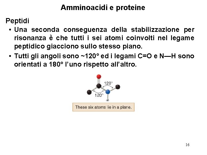 Amminoacidi e proteine Peptidi • Una seconda conseguenza della stabilizzazione per risonanza è che