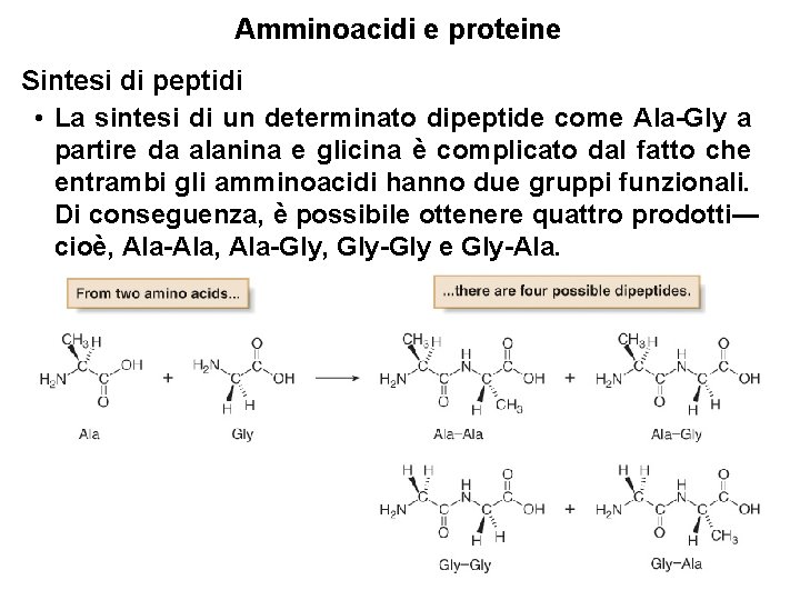 Amminoacidi e proteine Sintesi di peptidi • La sintesi di un determinato dipeptide come