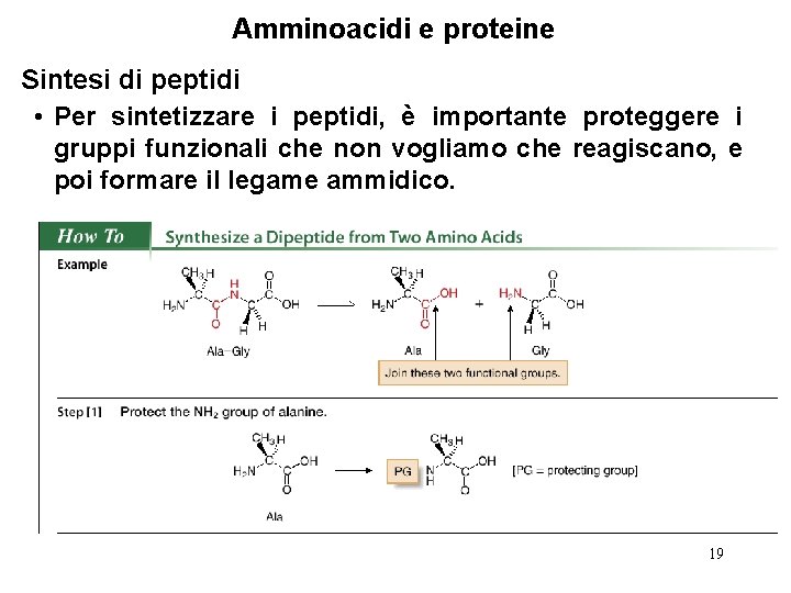 Amminoacidi e proteine Sintesi di peptidi • Per sintetizzare i peptidi, è importante proteggere
