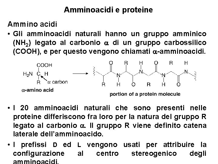 Amminoacidi e proteine Ammino acidi • Gli amminoacidi naturali hanno un gruppo amminico (NH
