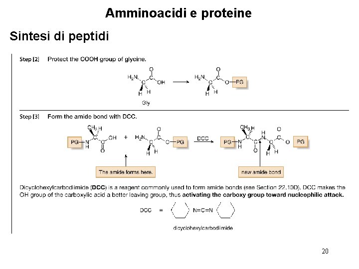 Amminoacidi e proteine Sintesi di peptidi 20 