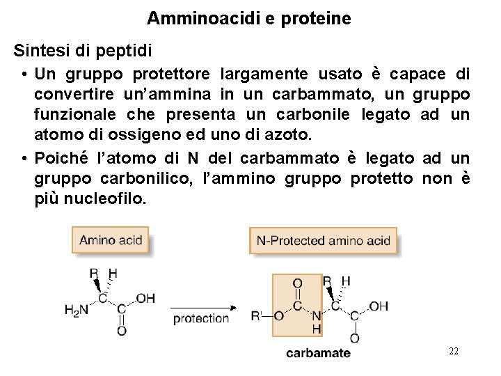 Amminoacidi e proteine Sintesi di peptidi • Un gruppo protettore largamente usato è capace