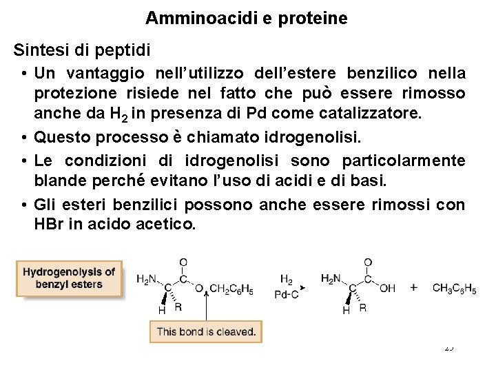 Amminoacidi e proteine Sintesi di peptidi • Un vantaggio nell’utilizzo dell’estere benzilico nella protezione
