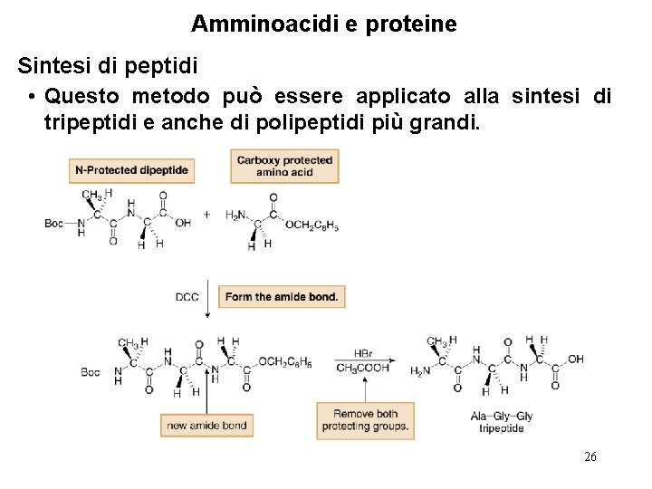 Amminoacidi e proteine Sintesi di peptidi • Questo metodo può essere applicato alla sintesi