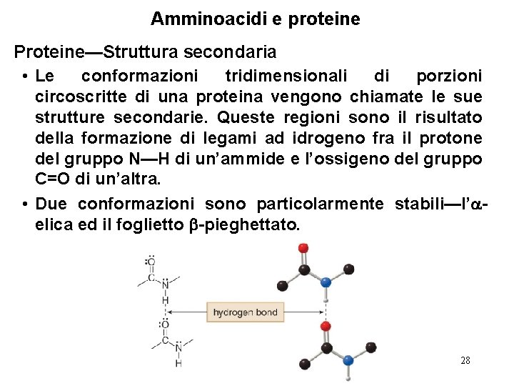 Amminoacidi e proteine Proteine—Struttura secondaria • Le conformazioni tridimensionali di porzioni circoscritte di una