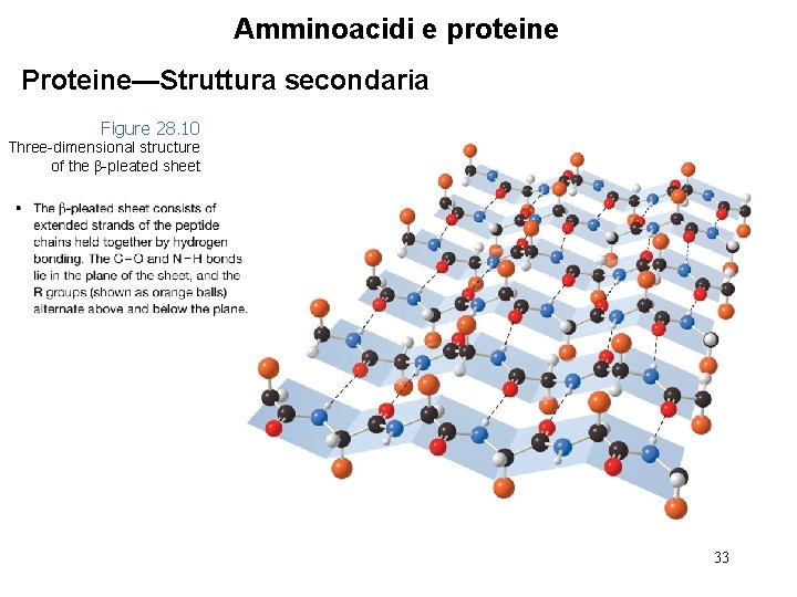 Amminoacidi e proteine Proteine—Struttura secondaria Figure 28. 10 Three-dimensional structure of the β-pleated sheet