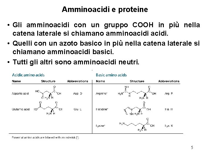 Amminoacidi e proteine • Gli amminoacidi con un gruppo COOH in più nella catena