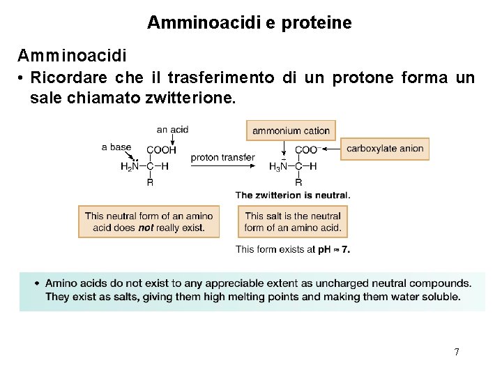Amminoacidi e proteine Amminoacidi • Ricordare che il trasferimento di un protone forma un