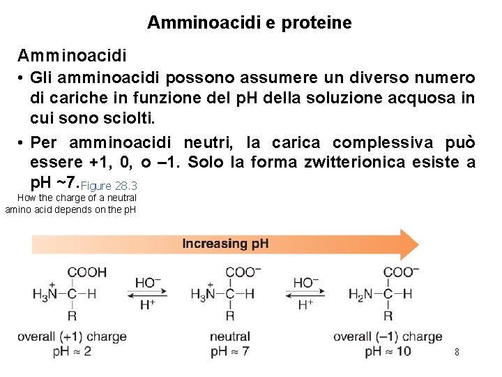 Amminoacidi e proteine Amminoacidi • Gli amminoacidi possono assumere un diverso numero di cariche