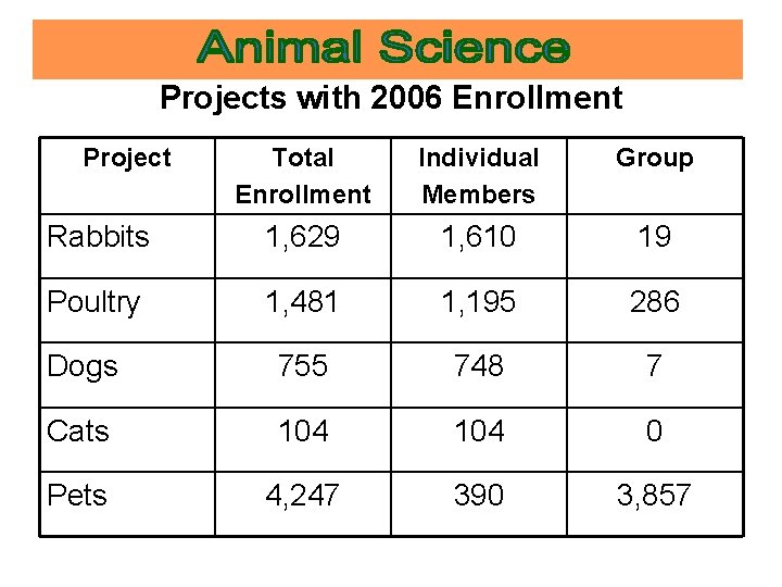 Projects with 2006 Enrollment Project Total Enrollment Individual Members Group Rabbits 1, 629 1,