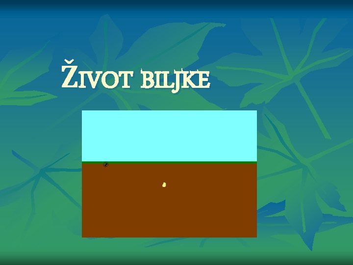 ŽIVOT BILJKE 